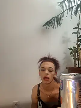 Snapshot of translady19 chatting on June 19, 2026, 12:48 am translady19 online show from June 19, 2026, 12:48 am