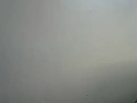 Ameliarembo online show from June 5, 2026, 8:31 am