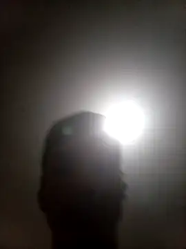 bxbicho20 online show from June 28, 2026, 3:34 am