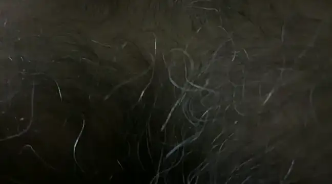 SatBull007 online show from January 18, 2025, 6:10 pm