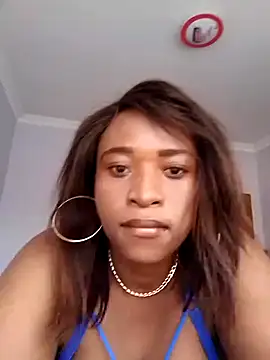 ChocStallion online show from July 1, 2026, 1:56 pm