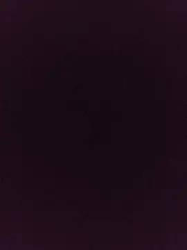 noirlynnexo online show from August 6, 2026, 8:44 pm