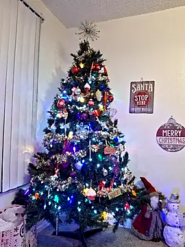 XxMs StarzxX online show from December 21, 2025, 11:45 pm