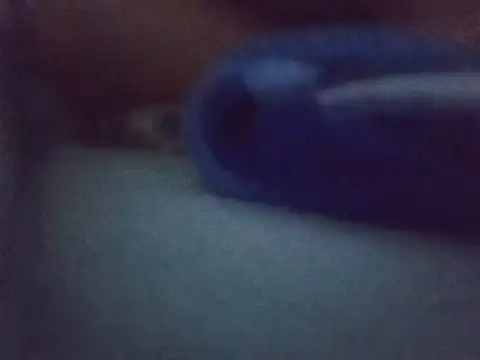 Snapshot of Chinitabella88 chatting on August 3, 2026, 2:43 am Chinitabella88 online show from August 3, 2026, 2:43 am