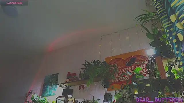 Dead Butterfly online show from December 18, 2024, 11:02 am