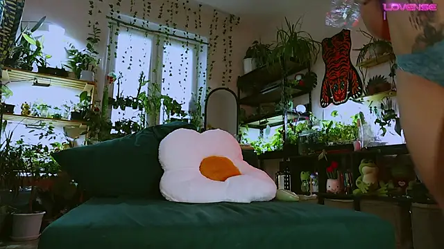 Dead Butterfly online show from May 12, 2026, 11:18 am
