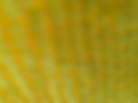 OGXXXOG online show from March 16, 2025, 7:17 pm