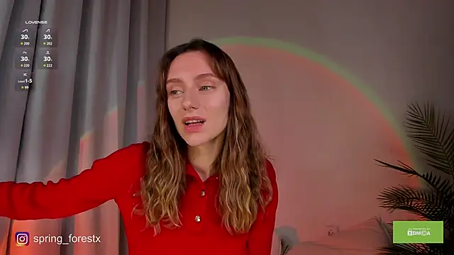 spring forest online show from November 22, 2025, 8:24 am