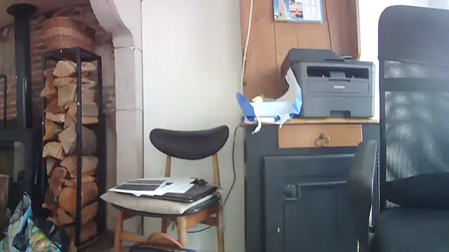 phlox3 online show from September 30, 2025, 10:31 am