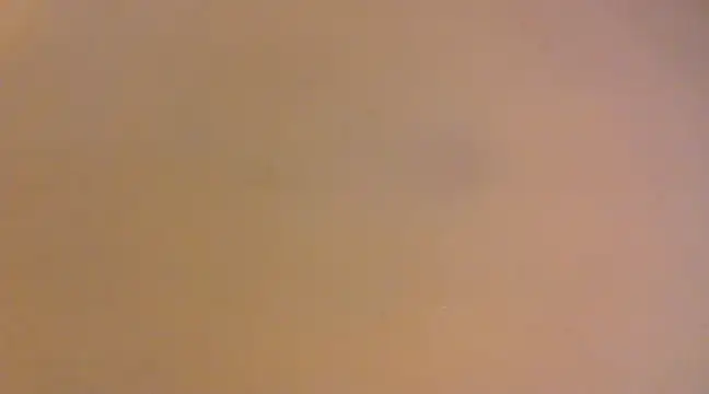 lilpervt online show from December 21, 2024, 11:55 am