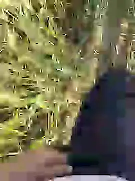 ThethunderPo online show from March 18, 2025, 2:36 am