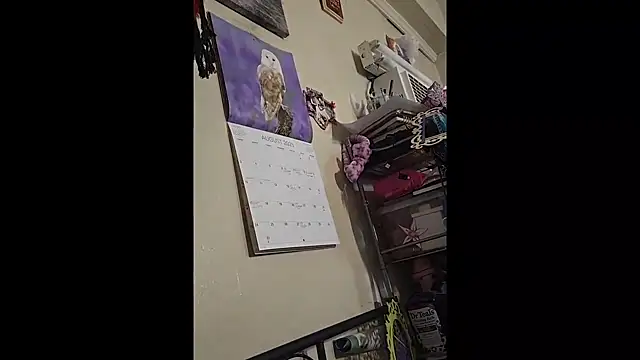 UncutHammer69 online show from September 19, 2025, 3:24 pm