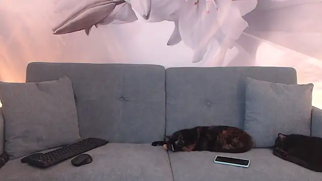 sofiasteven online show from March 13, 2026, 11:44 pm