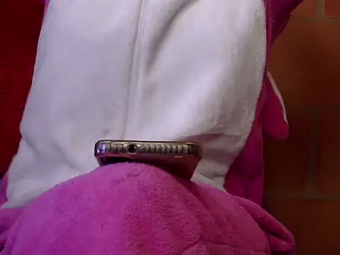 pamelasophia19 online show from February 13, 2026, 1:40 pm