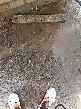 Bengali BULL1 online show from October 10, 2025, 4:33 am