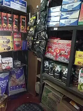 Kalani Engel online show from April 19, 2026, 5:29 am