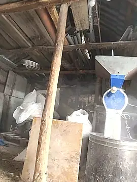 sarpe4 online show from January 8, 2026, 7:54 am