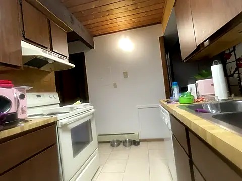 odbodu online show from November 14, 2025, 6:06 pm