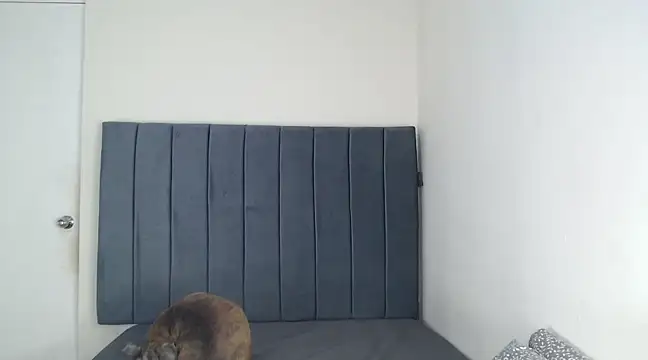 Chanelsexyy online show from March 6, 2025, 11:53 pm