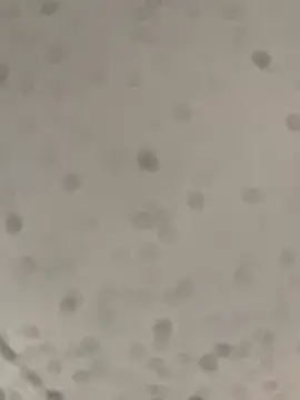 Lolo45605 online show from March 4, 2026, 2:12 pm