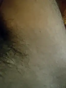 Snapshot of Samsharma1170 chatting on January 31, 2025, 3:55 pm Samsharma1170 online show from January 31, 2025, 3:55 pm