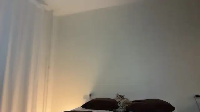 Milky   Way online show from January 10, 2026, 1:57 pm