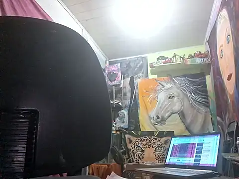 Toycockhot online show from March 8, 2025, 1:17 am