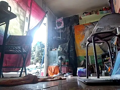 Toycockhot online show from March 10, 2025, 11:38 pm