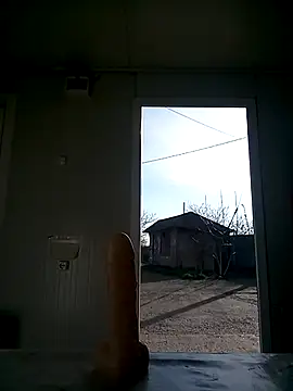 david geam online show from March 14, 2025, 6:42 am