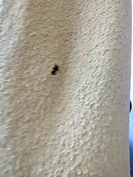 Snapshot of david_geam chatting on March 20, 2026, 6:51 am david geam online show from March 20, 2026, 6:51 am