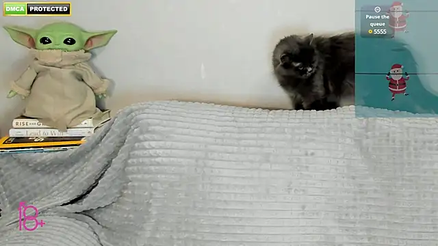 3ight33nplus online show from December 22, 2024, 7:31 pm