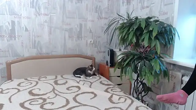 GinaQSoul online show from February 20, 2026, 11:22 am