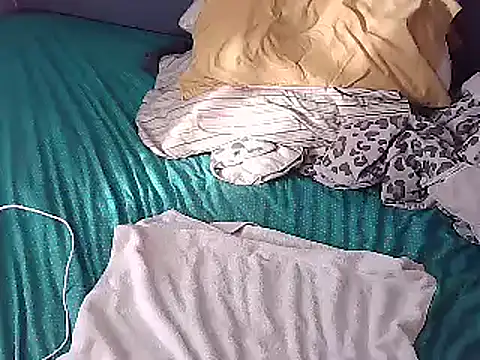 Snapshot of k-dong chatting on December 13, 2024, 2:27 pm k-dong online show from December 13, 2024, 2:27 pm