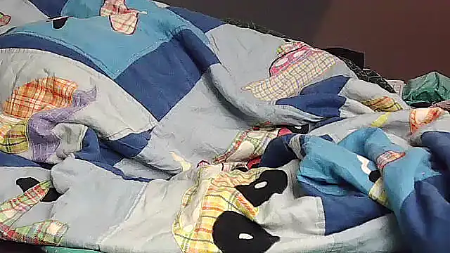 Snapshot of k-dong chatting on November 29, 2025, 11:35 am k-dong online show from November 29, 2025, 11:35 am