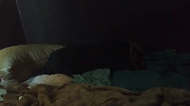 Snapshot of k-dong chatting on February 1, 2026, 4:49 pm k-dong online show from February 1, 2026, 4:49 pm