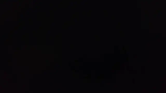 k-dong online show from March 15, 2026, 3:23 am