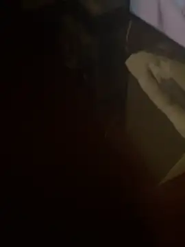 luanadigarda online show from January 7, 2026, 4:59 am