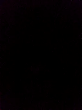 rus333 online show from December 19, 2024, 1:18 am