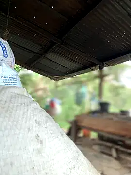 Ixchel Anaid online show from October 30, 2025, 2:18 pm