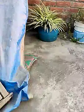 indianSmartboy online show from December 21, 2024, 11:11 am