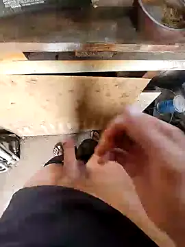 bighornycockup online show from December 26, 2024, 11:35 pm