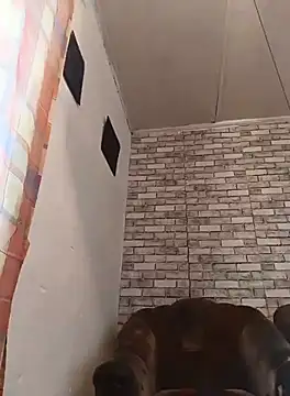 Cerd Ayaz online show from September 16, 2025, 9:32 am