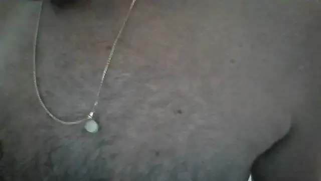 Snapshot of Leo_Big chatting on February 26, 2026, 10:14 am Leo Big online show from February 26, 2026, 10:14 am