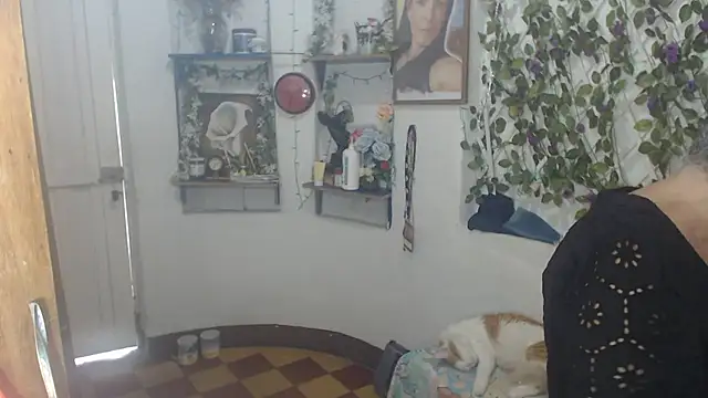 Snapshot of FunnyGrandma chatting on July 12, 2026, 8:11 pm FunnyGrandma online show from July 12, 2026, 8:11 pm