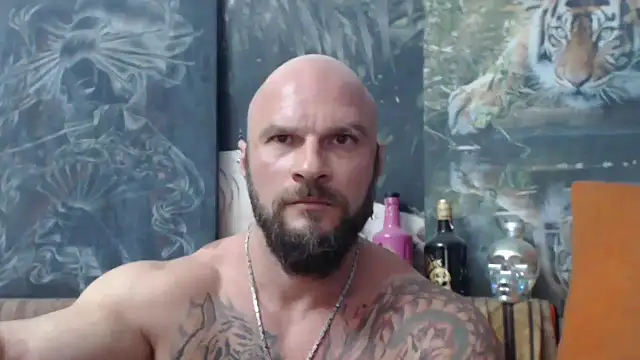 viking 30 online show from September 14, 2025, 6:51 pm