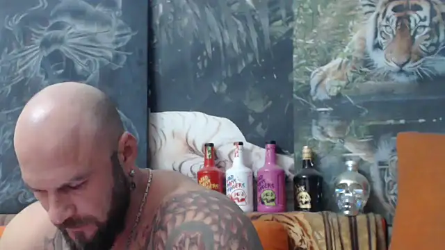 viking 30 online show from October 6, 2025, 6:27 pm