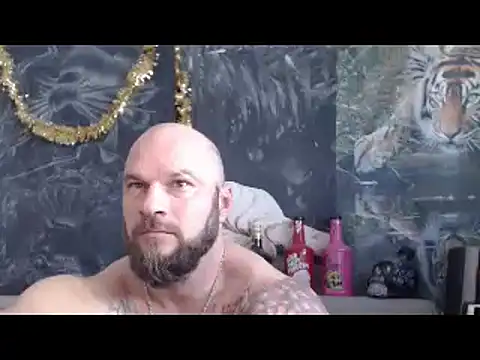 viking 30 online show from March 31, 2026, 10:26 am