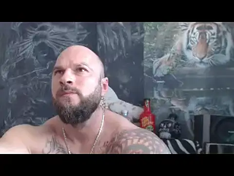 viking 30 online show from April 15, 2026, 10:33 am