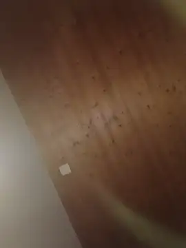 Kw8585kw online show from March 1, 2026, 8:22 pm