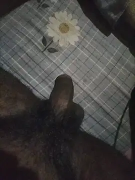 naxusxh online show from November 7, 2025, 5:57 pm